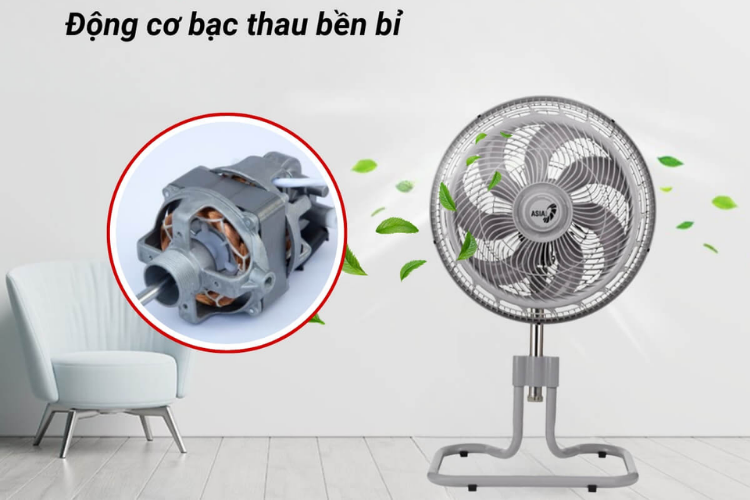 quạt asia loại nào tốt 4