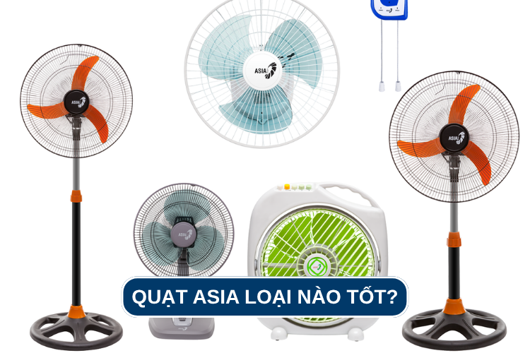 Nên mua quạt Asia loại nào tốt? Điểm danh 3 mẫu quạt Asia bán chạy năm 2025