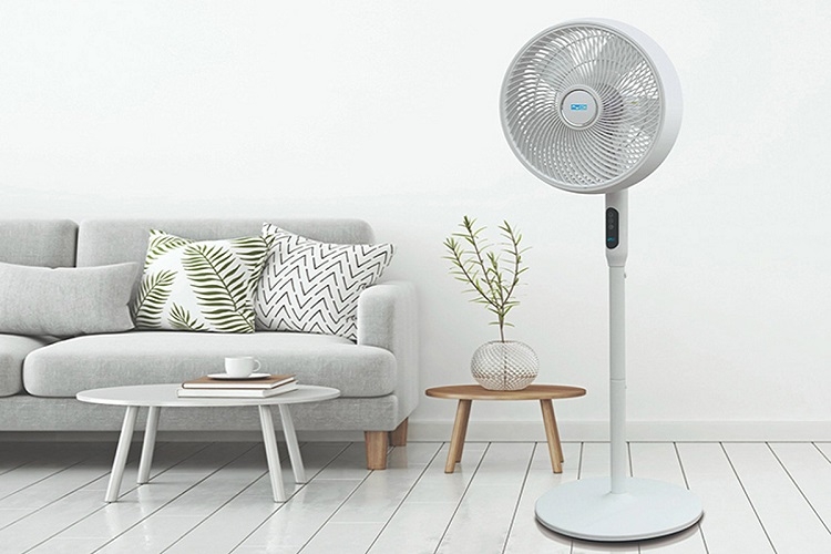 Quạt cây loại nào tốt nhất 2026: Hướng dẫn chọn và những model đáng mua nhất