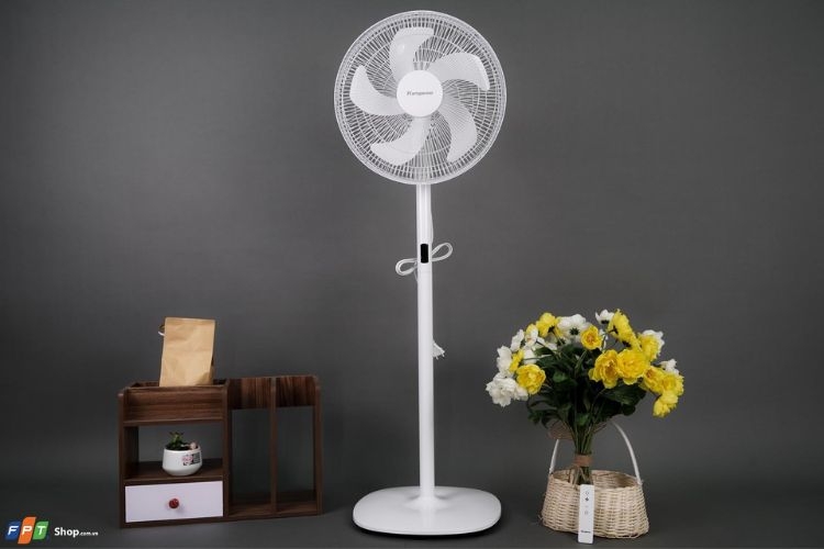 Điểm danh 5 mẫu quạt cây tốt nhất 2026: Không những làm mát hiệu quả mà còn tiết kiệm điện!