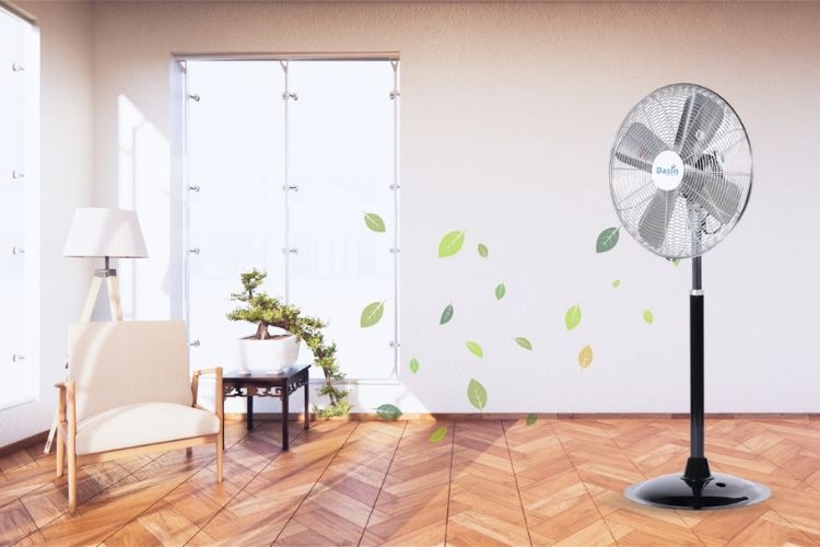 Quạt Dasin có tốt không? Có nên mua quạt Dasin để sử dụng hàng ngày hay không?
