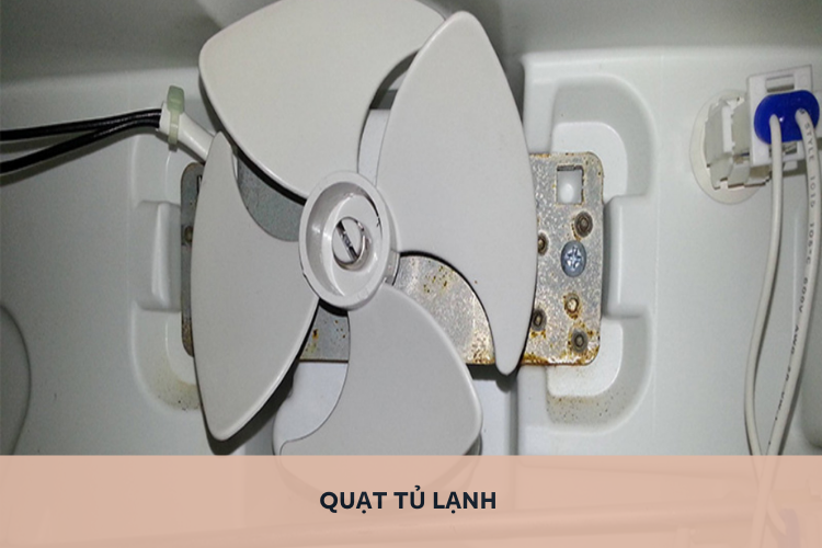 Quạt tủ lạnh bị hỏng: Nguyên nhân và hướng dẫn cách thay quạt tủ lạnh đơn giản tại nhà