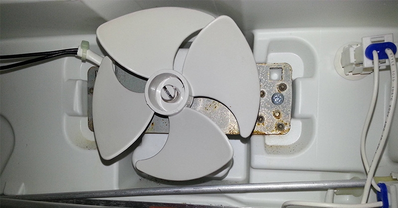 quat tu lanh co tac dung gi