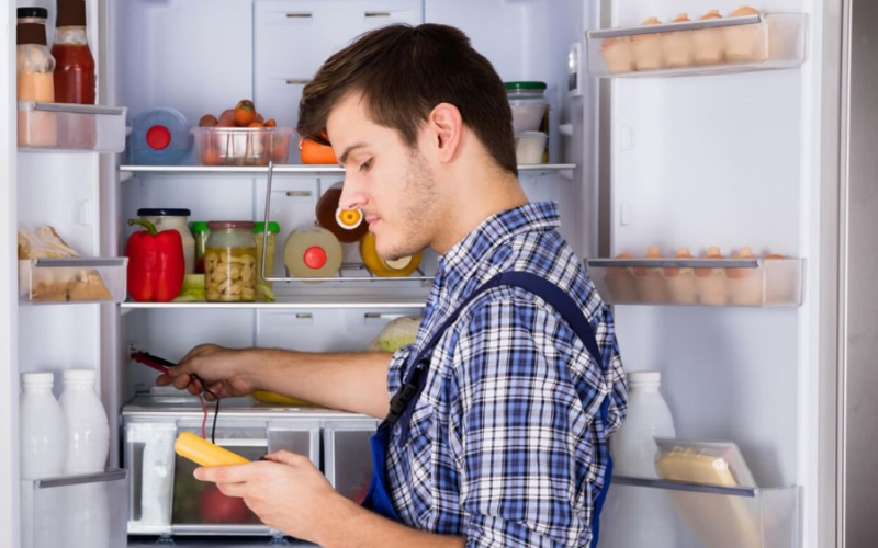 quên đóng cửa tủ lạnh tốn bao nhiêu điện (ảnh 5)