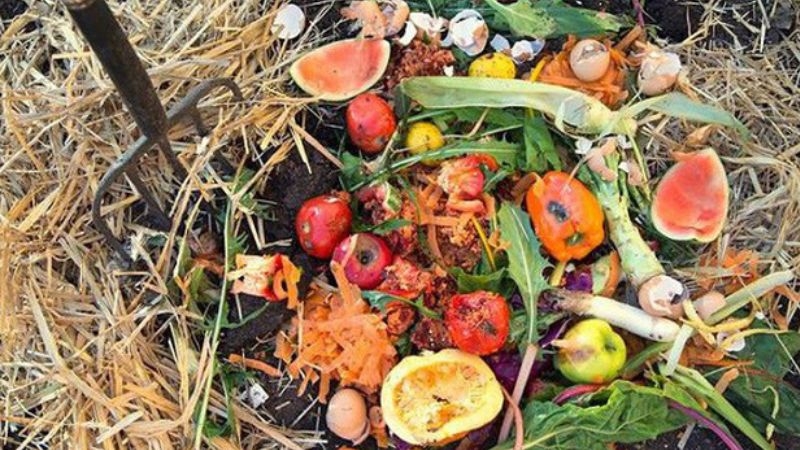 Rác hữu cơ là gì và bao gồm những loại nào?
