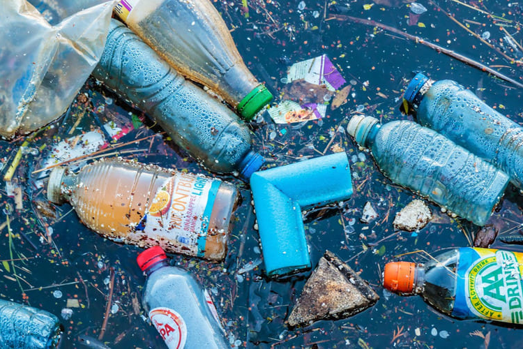 rác vô cơ là gì 4