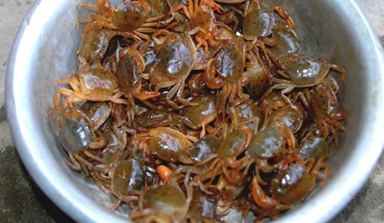 rạm rang lá lốt 2