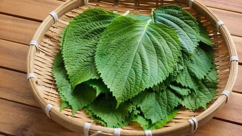 rau ăn bánh xèo 4
