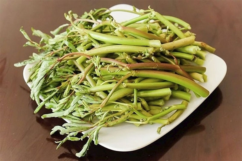 Rau nhút thân giòn, thanh mát