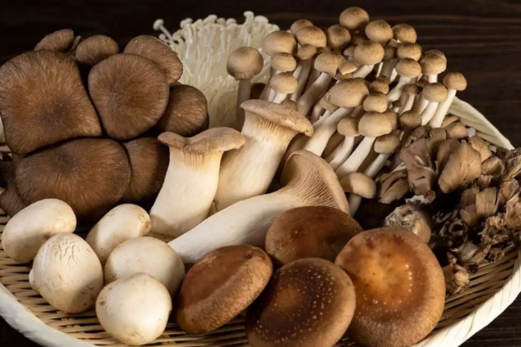 Top 10 loại rau ăn lẩu Thái tươi ngon và dễ dàng chế biến tại nhà