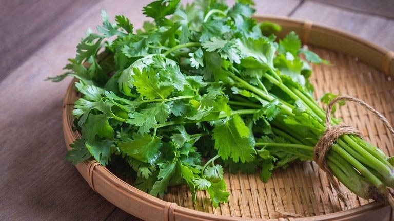Rau ăn phở 2