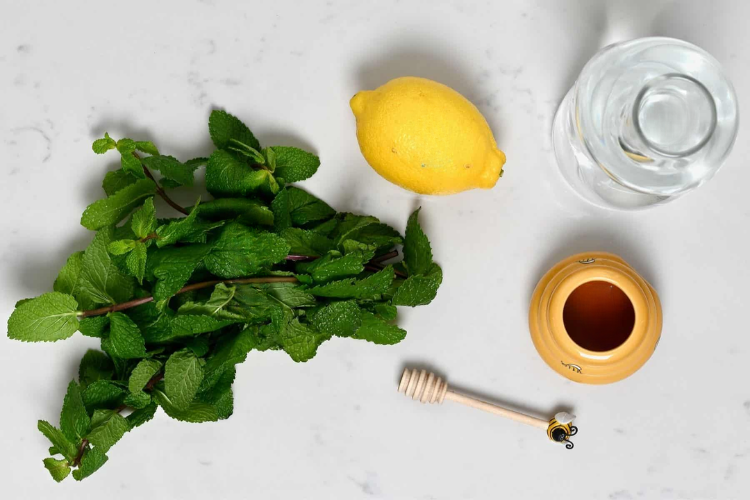 Rau bạc hà (ảnh 3)