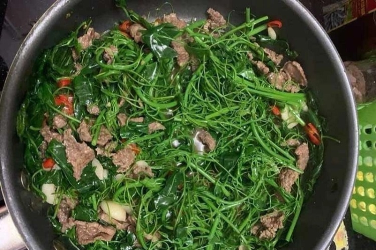Rau bò khai xào tỏi của người vùng cao, bạn đã thử chưa?