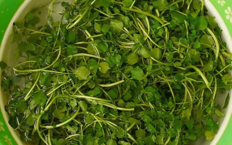 Sơ chế nguyên liệu làm rau cải xoong xào tỏi
