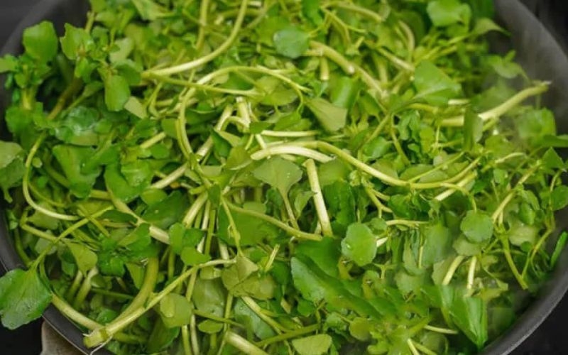 Xào rau cải xoong với tỏi