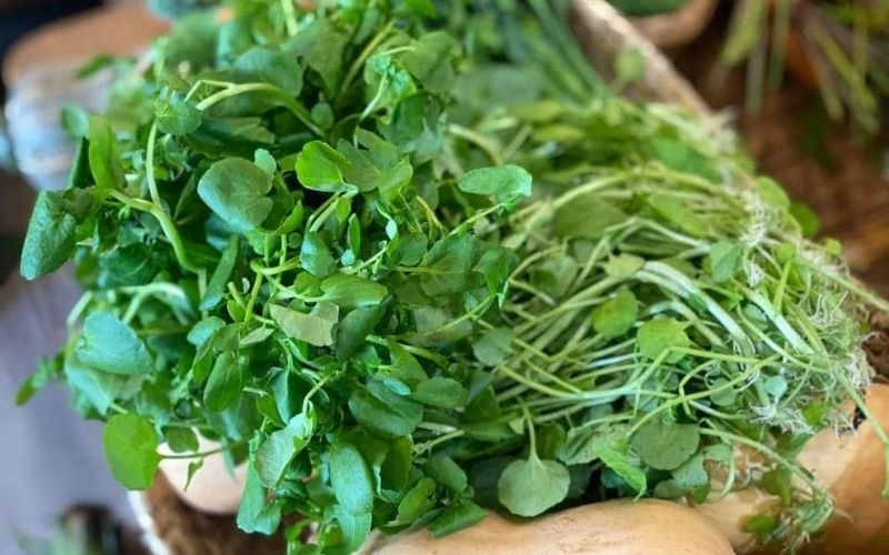 rau cải xoong xào tỏi 2