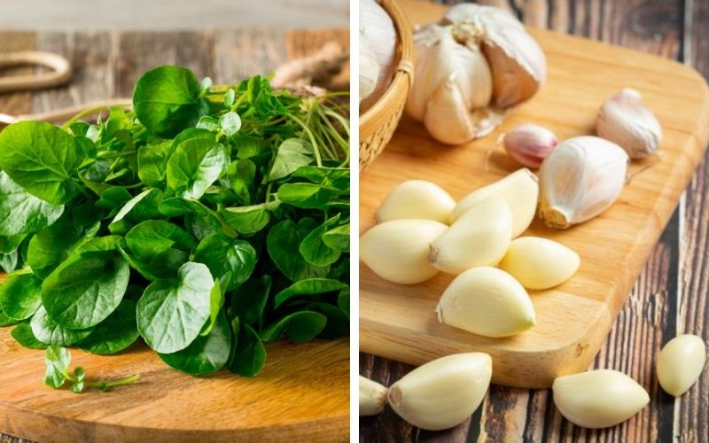 Nguyên liệu làm rau cải xoong xào tỏi