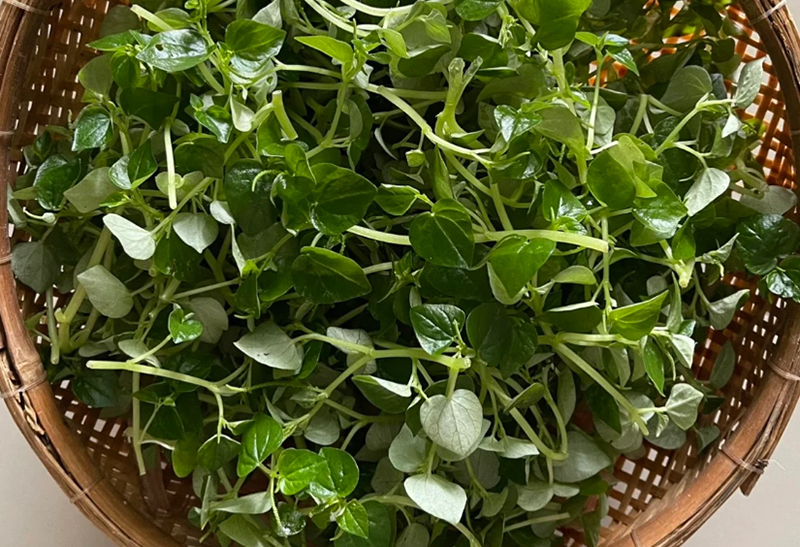 Rau càng cua nấu canh (hình 2)