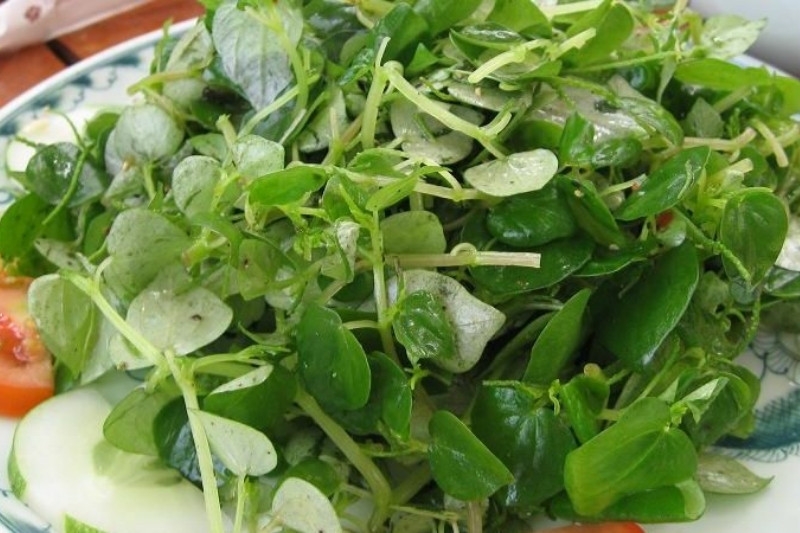 rau càng cua trộn dầu giấm 5