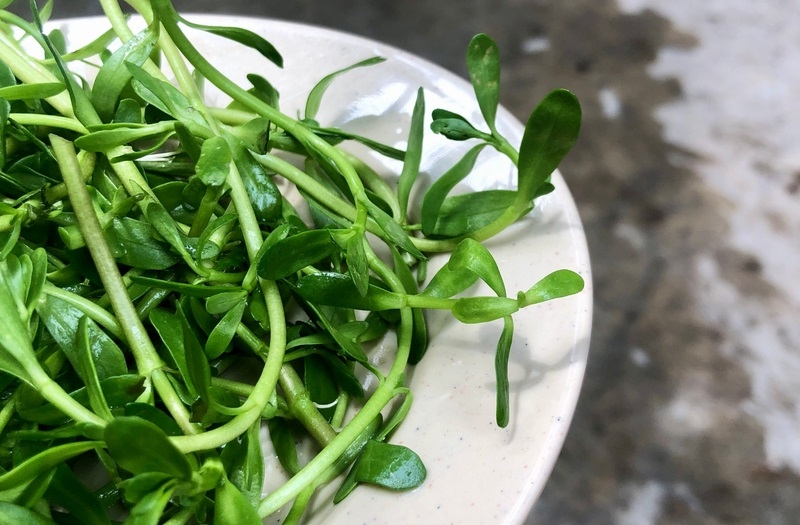 rau đắng xào nấm rơm 6