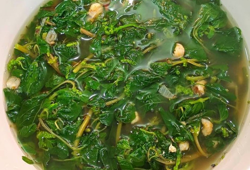 Rau dền cơm (hình 9)