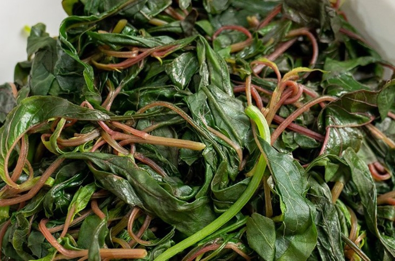Rau dền cơm (hình 7)