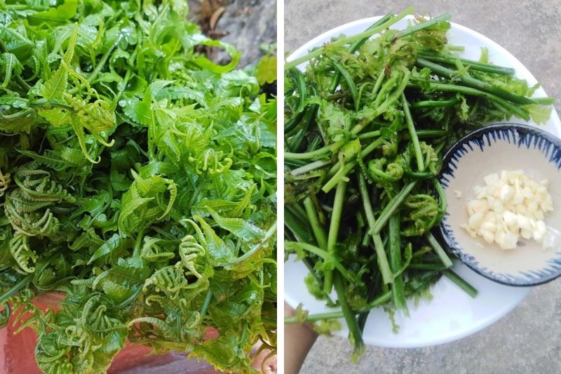 Rau dớn xào tỏi ảnh 3