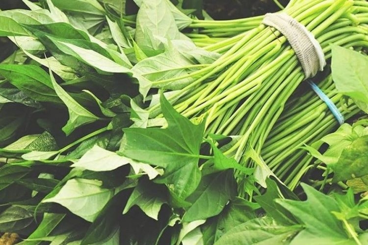rau lang xào thịt bò