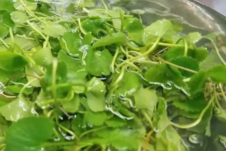 Nước rau má đậu xanh bao nhiêu calo hình 5