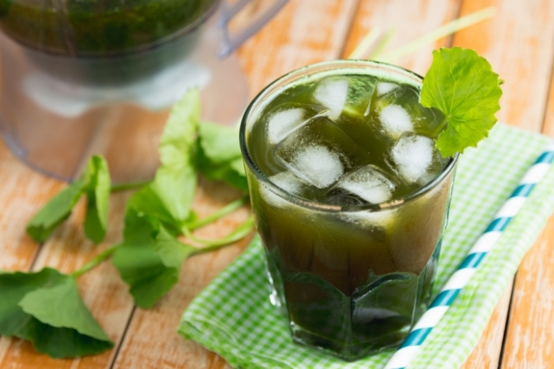Rau má kỵ với gì 5