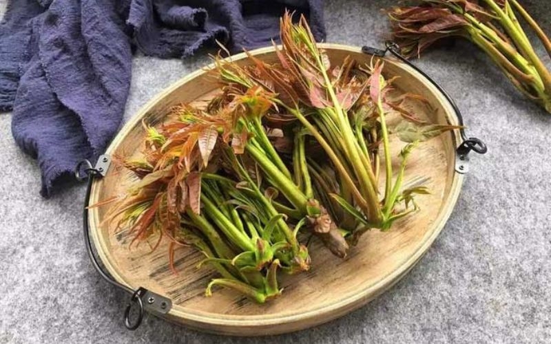Rau nên chần trước khi nấu - Mầm hương thung