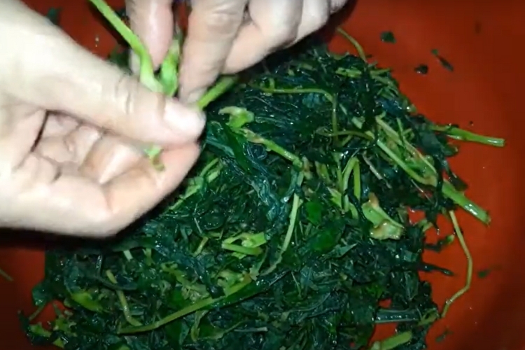 Bước 2: Vò lá rau sắn