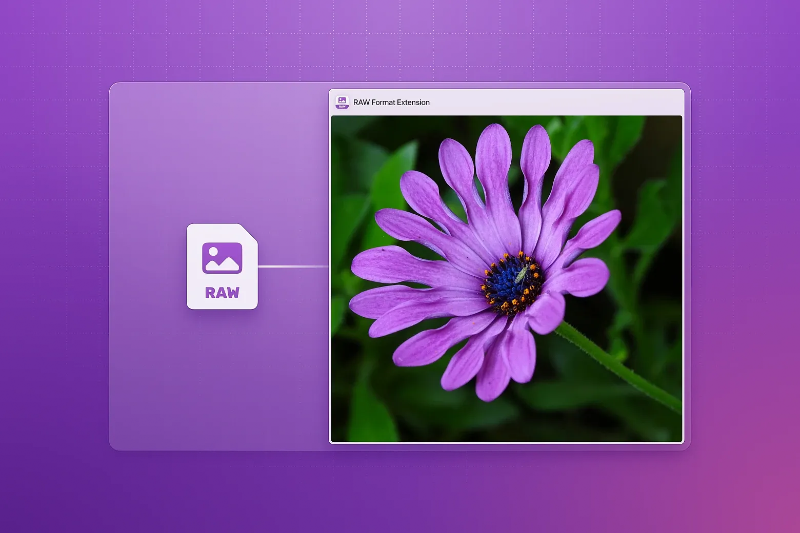 Raw Image Extension - hình 2
