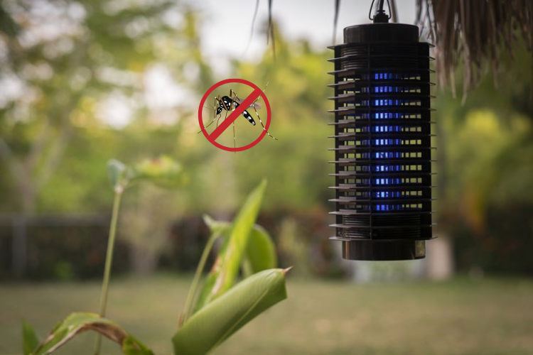 Review đèn bắt muỗi Điện Quang 4