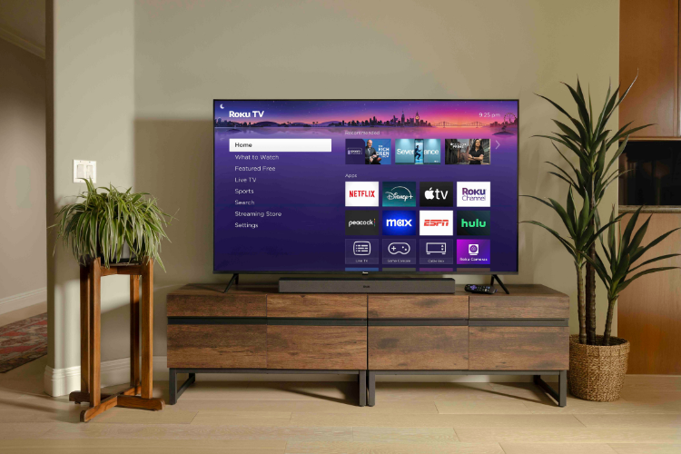 Roku là gì 5
