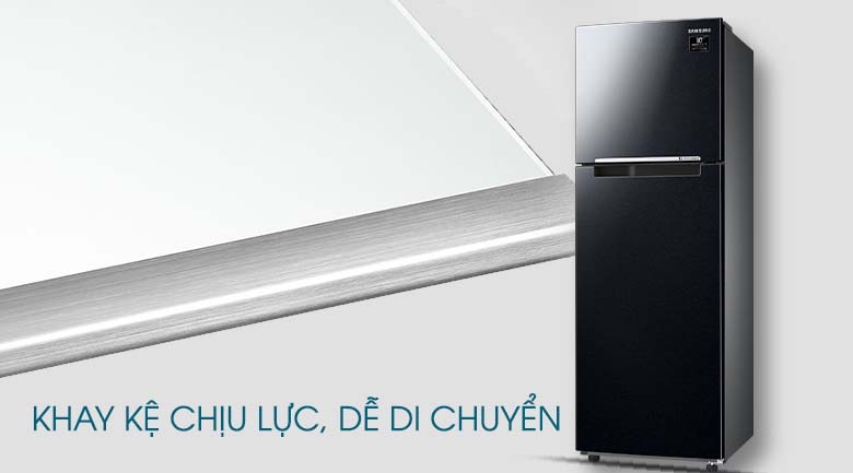 tu lanh samsung rt25m4032bu