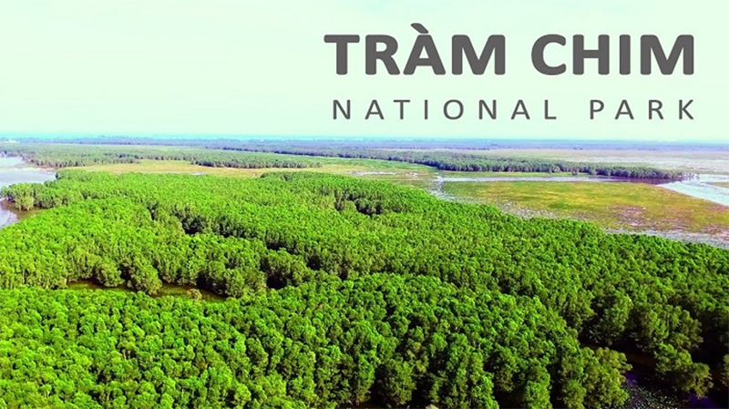 Rừng nguyên sinh là gì? (hình 11)