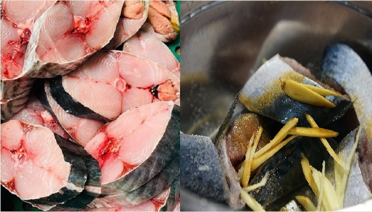 Ruốc cá thu (Hình 2)