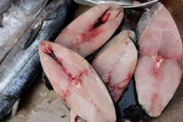 Ruốc cá thu (Hình 6)