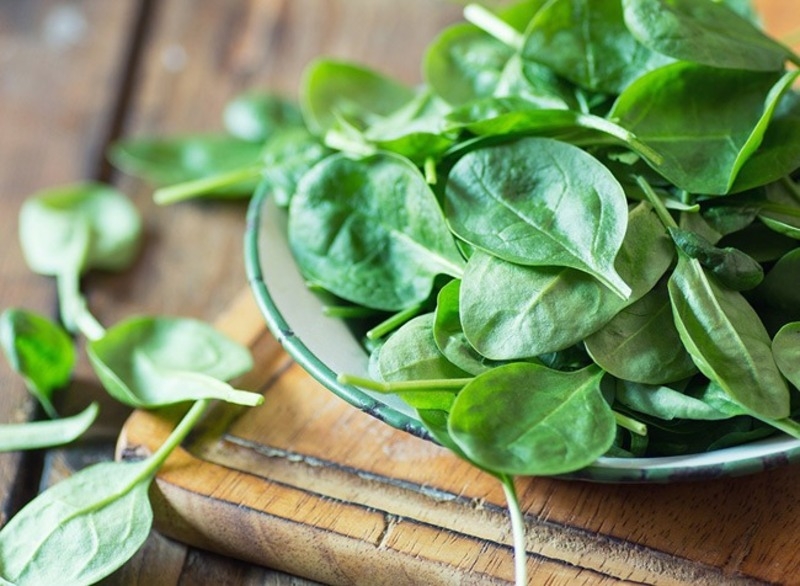 Salad rau bina 1