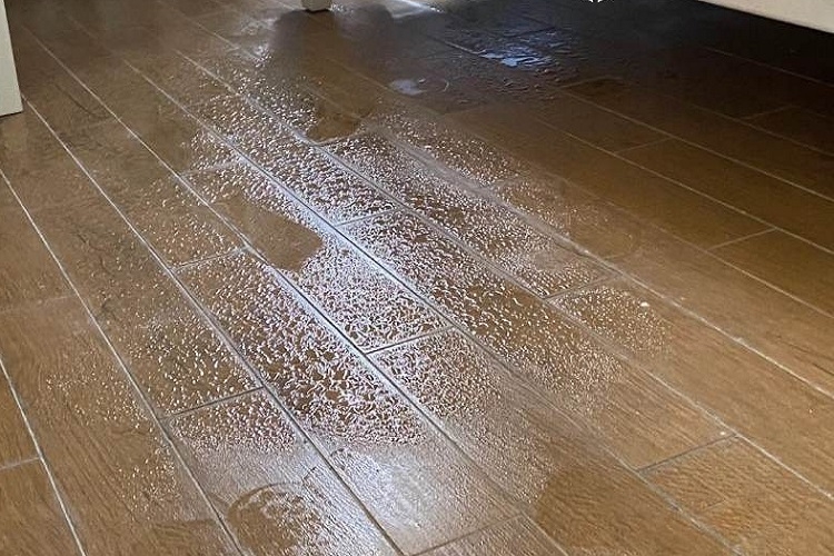 Sàn gỗ có bị nồm không 6