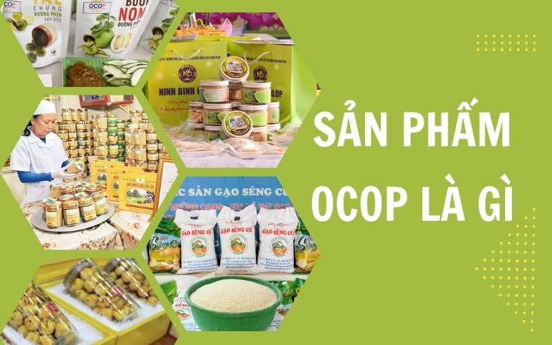 Sản phẩm OCOP là gì? (hình 2)