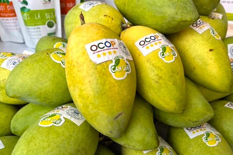 Sản phẩm OCOP là gì? (hình 9)