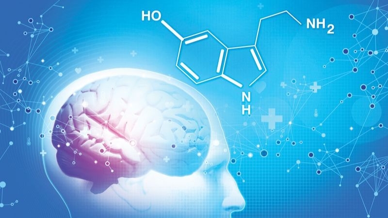 Serotonin là gì? - hình 1