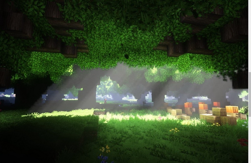 Shader Minecraft là gì? - hình 1Shader Minecraft là gì? - hình 5