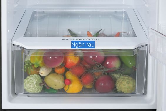 Đánh giá tủ lạnh Sharp 330 lít SJ-XP352AE-SL 7