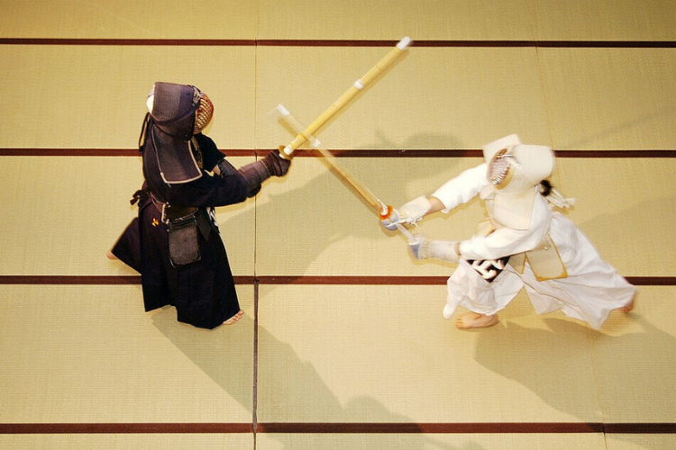 Shinai là gì 3