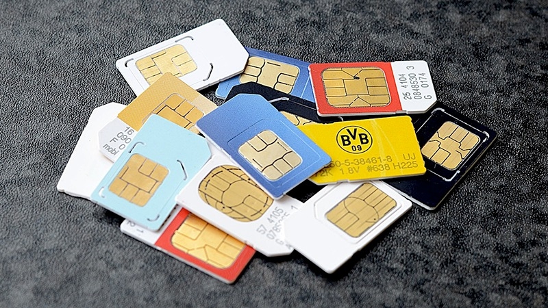 sim kinh dịch (ảnh 2)