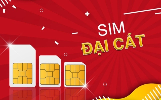 sim kinh dịch (ảnh 5)