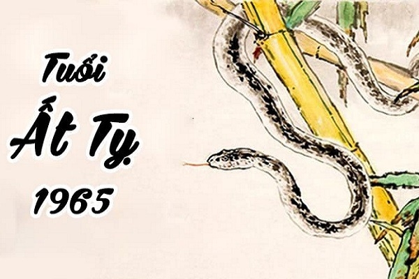 1965 tuổi gì 1